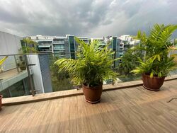 Duchess Residences (D10), Condominium #567638411
